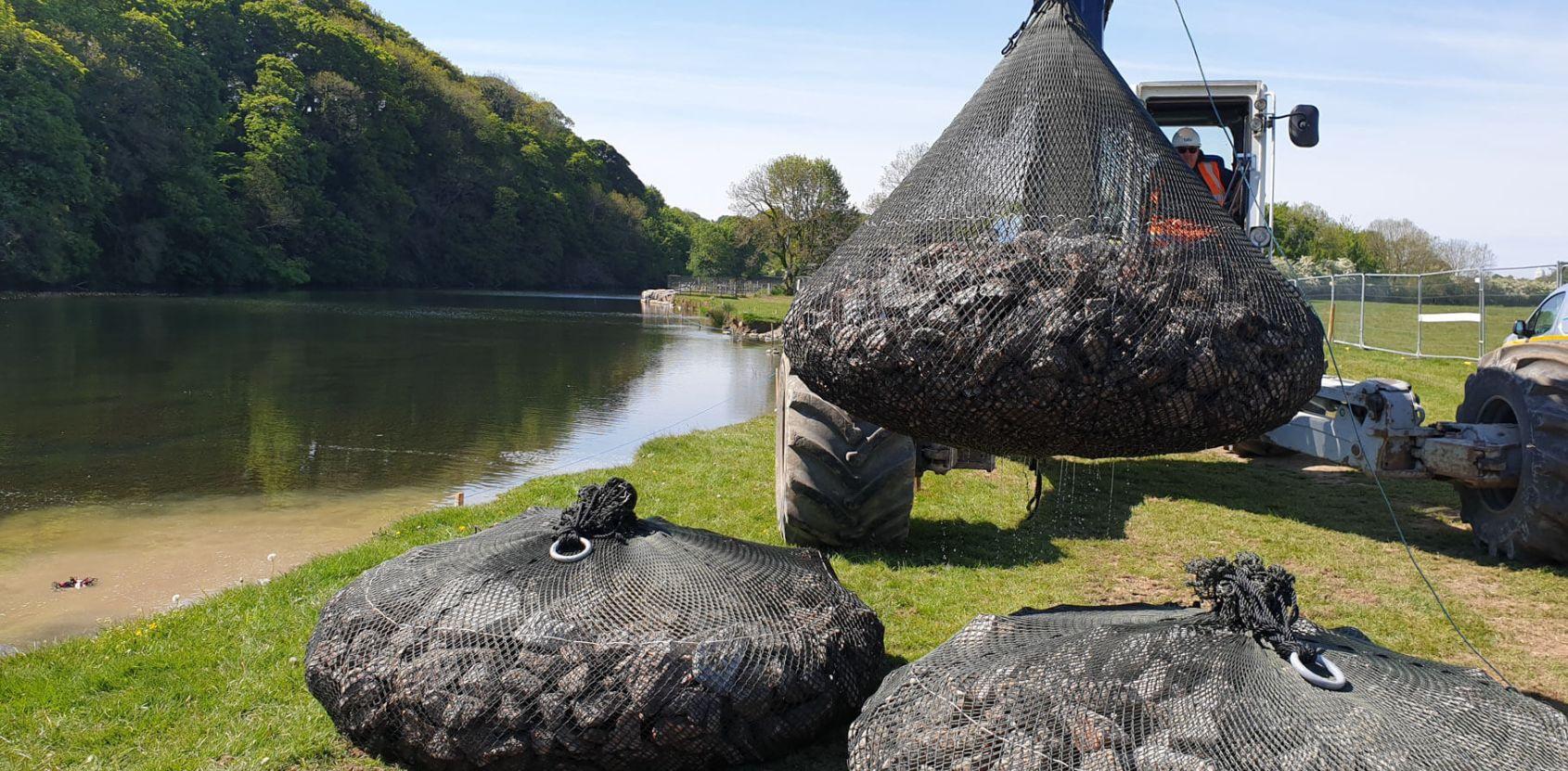 stabilising-river-banks-from-erosion-with-aquarockbag-case-study-1690X831.jpg