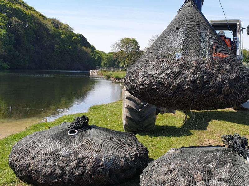 stabilising-river-banks-from-erosion-with-aquarockbag-case-study-1690X831.jpg